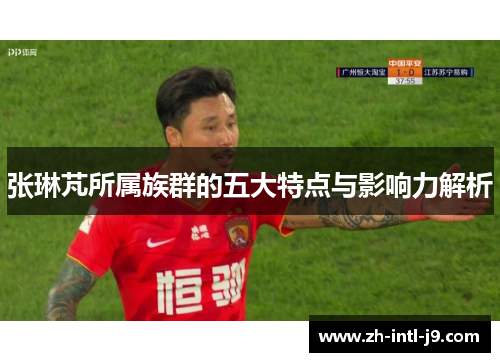 张琳芃所属族群的五大特点与影响力解析