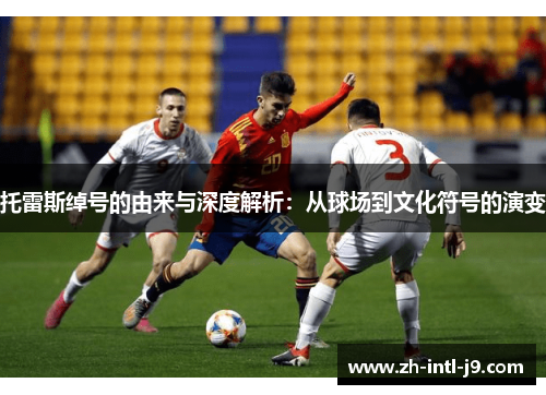 托雷斯绰号的由来与深度解析：从球场到文化符号的演变