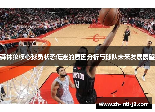 森林狼核心球员状态低迷的原因分析与球队未来发展展望