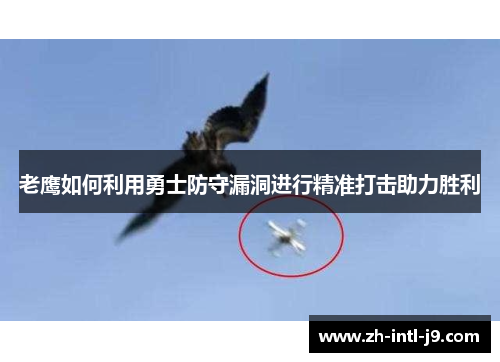老鹰如何利用勇士防守漏洞进行精准打击助力胜利