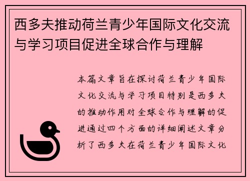 西多夫推动荷兰青少年国际文化交流与学习项目促进全球合作与理解