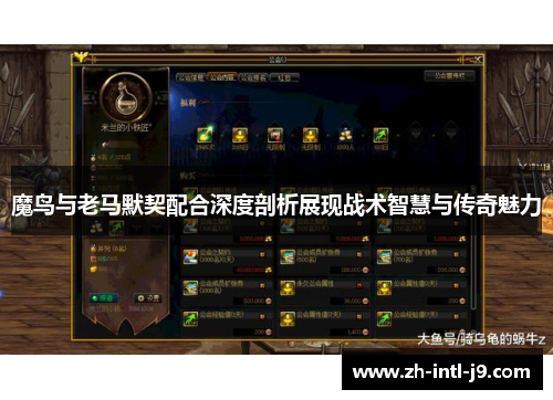 魔鸟与老马默契配合深度剖析展现战术智慧与传奇魅力