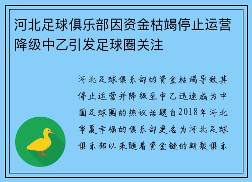 河北足球俱乐部因资金枯竭停止运营降级中乙引发足球圈关注 河北足球俱乐部因资金枯竭停止运营降级中乙引发足球圈关注